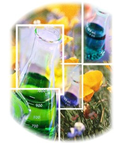 Biocidi: Cosa cambia con il nuovo Regolamento Europeo