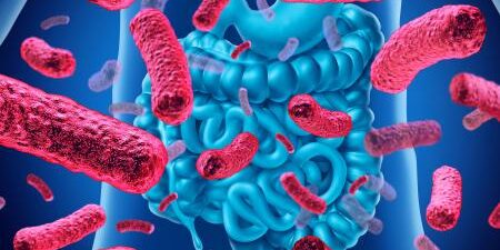 IL MICROBIOTA INTESTINALE: BENEFICI SULLE ALLERGIE NEI BAMBINI