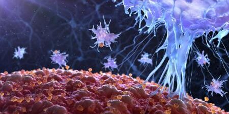 COVID-19: NUOVE STRATEGIE EMERSE DAI PRODOTTI NATURALI