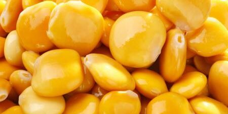 Effetti antidiabetici e meccanismi d’azione della γ-conglutina dei semi di lupino Effetti antidiabetici e meccanismi d'azione della γ-conglutina dei semi di lupino