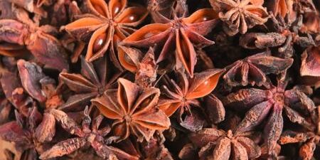 Anise benefits and therapeutic properties Gruppo FarmaImpresa