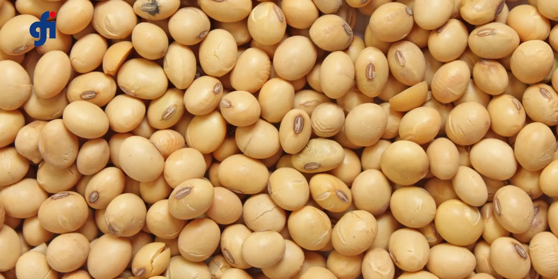 Genisteina-Benefici-su-Glucosio_-Lipidi-e-Omocisteina